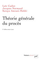 Theorie generale du proces