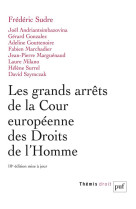 Les grands arrets de la cour europeenne des droits de l'homme (10e edition)