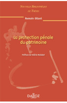 La protection penale du patrimoine