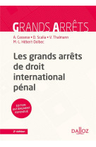 Les grands arrets de droit international penal