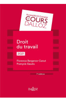 Droit du travail (edition 2021)