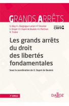 Les grands arrets du droit des libertes fondamentales 3ed