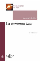 La common law (5e edition)