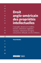 Droit anglo-americain des proprietes intellectuelles