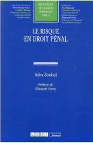 Le risque en droit penal