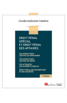 Droit penal special et droit penal des affaires (7e edition)