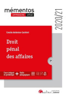 Droit penal des affaires - une presentation des infractions traditionnellement classees sous le voca