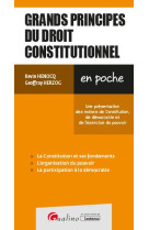 Grands principes du droit constitutionnel