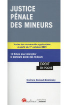 Justice penale des mineurs - 13 fiches pour decrypter le parcours penal des mineurs