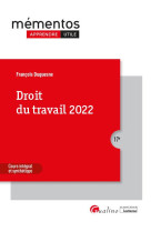 Droit du travail : les regles et les grands principes du droit du travail applicables en 2022 (17e edition)