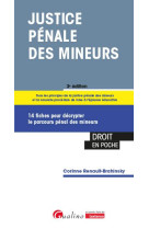 Justice penale des mineurs - 14 fiches pour decrypter le parcours penal des mineurs