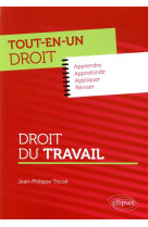 Tout-en-un droit  -  droit du travail