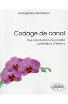 Codage de canal : une introduction aux codes correcteurs d'erreurs