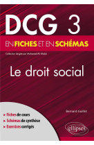 Dcg 3 : droit social