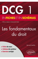 Dcg 1 : les fondamentaux du droit en fiches et en schemas