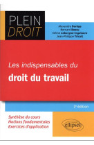 Les indispensables du droit du travail (2e edition)