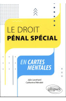 Le droit penal special en cartes mentales