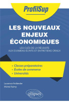 Les nouveaux enjeux economiques : les cles de la reussite aux examens ecrits et entretiens oraux