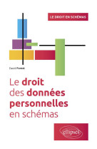 Le droit des donnees personnelles en schemas : a jour au 30 septembre 2023