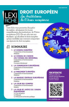 Droit europeen  -  les institutions de l'union europeenne