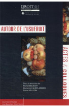 Autour de l'usufruit : journees d'etudes jean beauchard-paolo m. vecchi