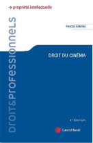 Droit du cinema : le droit penal francais en 62 films analyses et commentes (4e edition)