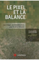 Le pixel et la balance