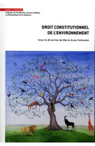 Droit constitutionnel de l'environnement : regards croises