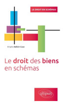 Droit des biens en schemas