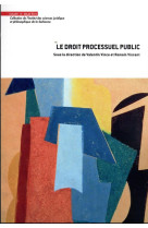 Le droit processuel public