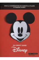 Du droit dans disney