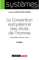 La convention europeenne des droits de l'homme - commentaire article par article