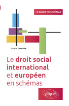 Le droit social international et europeen en schemas - a jour au 15 mars 2024