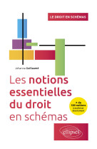 Les notions essentielles du droit en schemas - + de 180 notions a maitriser absolument