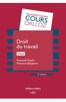 Droit du travail 2025. 11e ed.