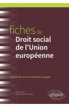 Fiches de droit social de l'union europeenne - a jour au 1er mai 2024