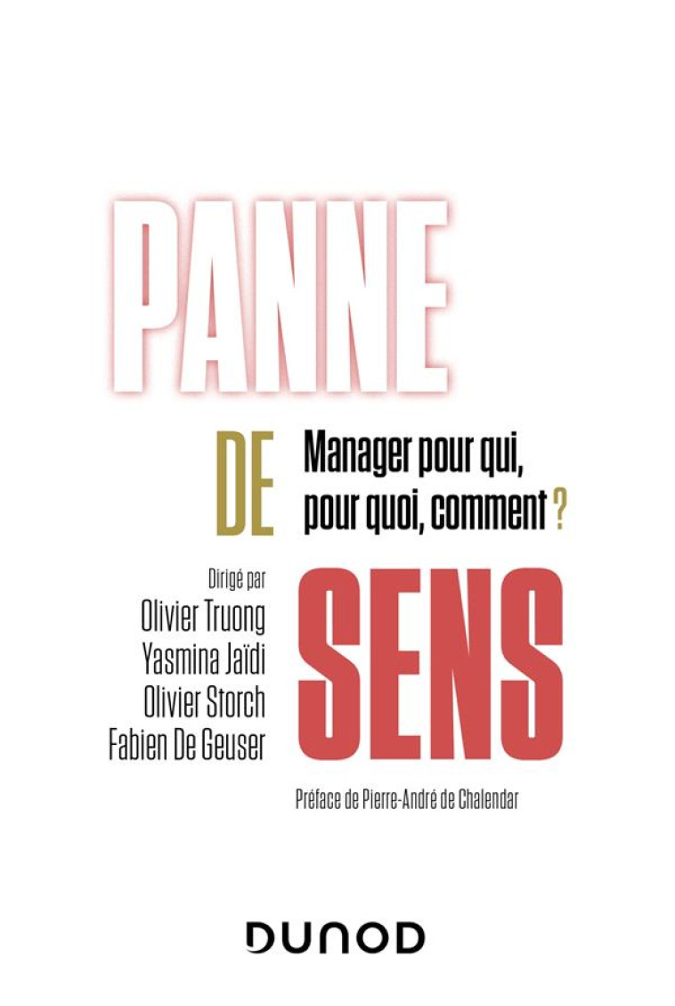 PANNE DE SENS : MANAGER POUR QUI, POUR QUOI, COMMENT ? - TRUONG/JAIDI/STORCH - DUNOD