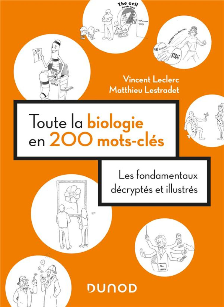 TOUTE LA BIOLOGIE EN 200 MOTS-CLES : LES FONDAMENTAUX DECRYPTES ET ILLUSTRES - LECLERC/LESTRADET - DUNOD