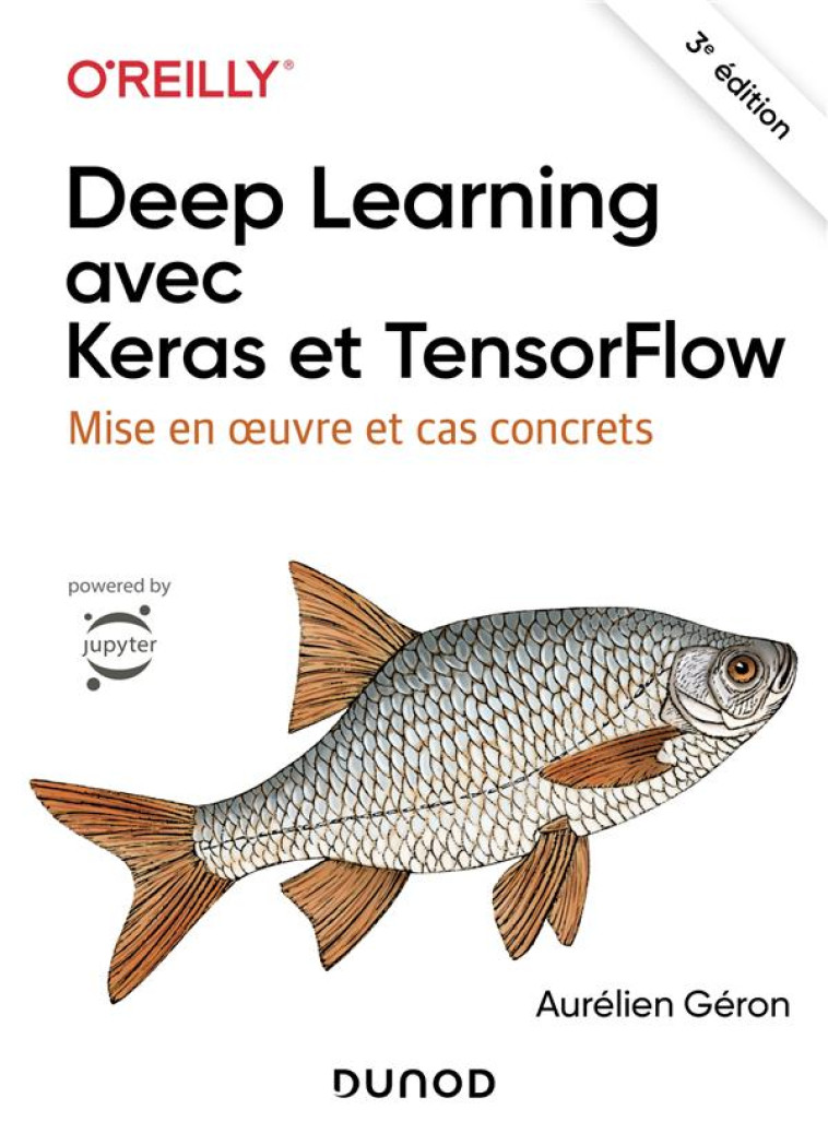 DEEP LEARNING AVEC KERAS ET TENSORFLOW : MISE EN OEUVRE ET CAS CONCRETS (3E EDITION) - GERON AURELIEN - DUNOD