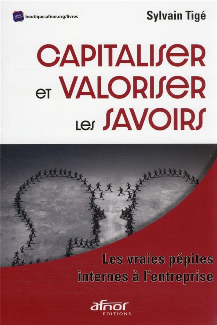 CAPITALISER ET VALORISER LES SAVOIRS : LES VRAIES PEPITES INTERNES A L'ENTREPRISE - TIGE SYLVAIN - AFNOR