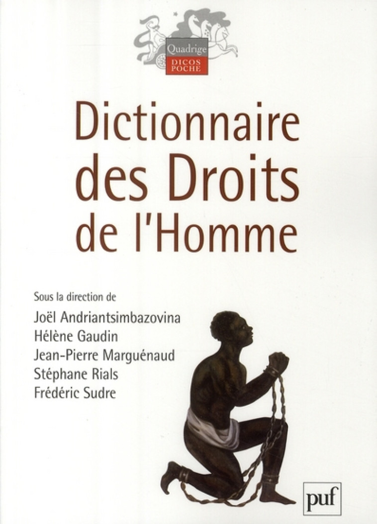 DICTIONNAIRE DES DROITS DE L'HOMME - GAUDIN HELENE - PUF