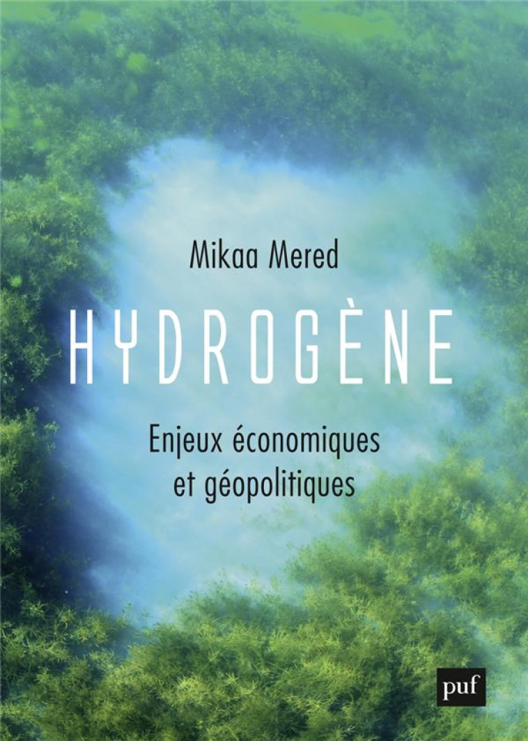 HYDROGENE, ENJEUX ECONOMIQUES ET GEOPOLITIQUES - MERED MIKAA - PUF