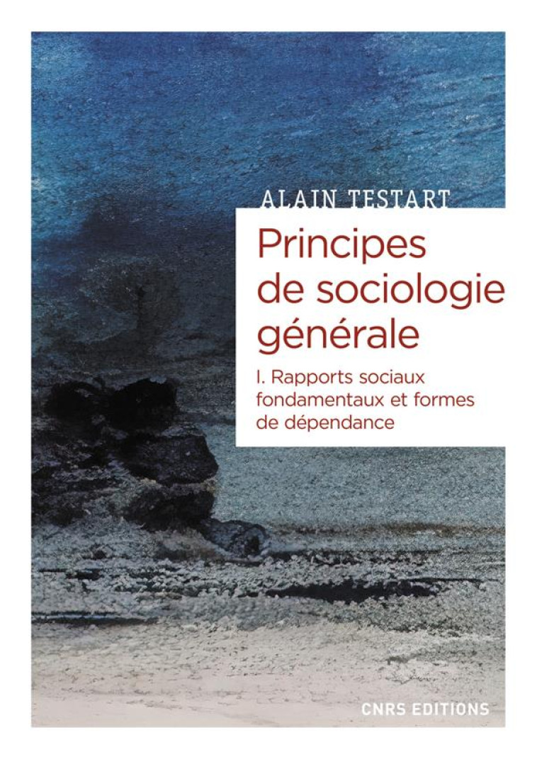 PRINCIPES DE SOCIOLOGIE GENERALE T.1 : DEPENDANCES ET RAPPORTS SOCIAUX - TESTART ALAIN - CNRS