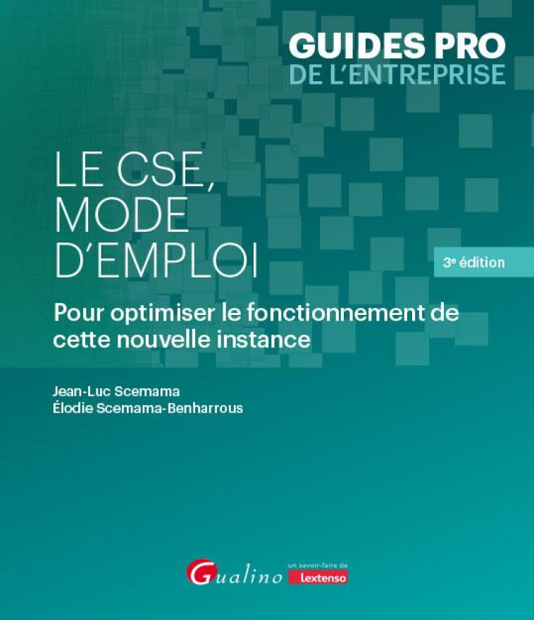 LE CSE, MODE D'EMPLOI : POUR OPTIMISER LE FONCTIONNEMENT DE CETTE NOUVELLE INSTANCE (3E EDITION) - SCEMAMA - GUALINO