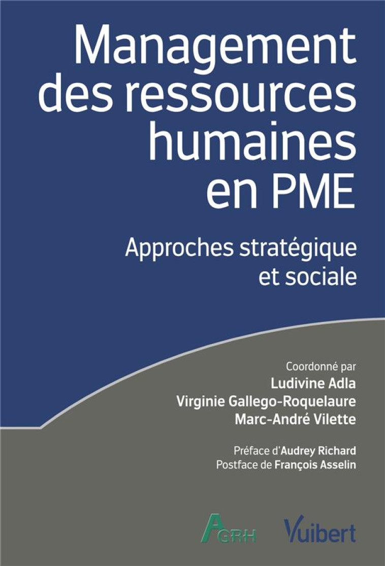 MANAGEMENT DES RESSOURCES HUMAINES EN PME : APPROCHES STRATEGIQUES ET SOCIALES - ADLA/VILETTE - VUIBERT