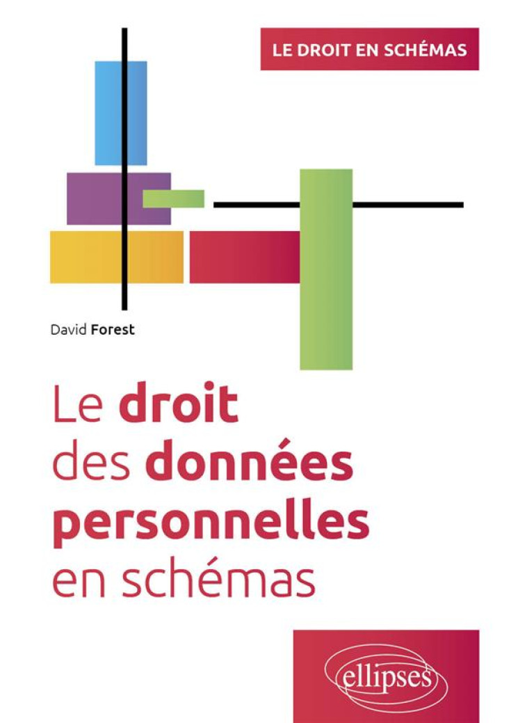 LE DROIT DES DONNEES PERSONNELLES EN SCHEMAS : A JOUR AU 30 SEPTEMBRE 2023 - FOREST DAVID - ELLIPSES MARKET