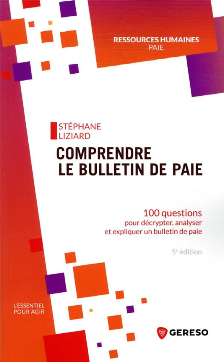 COMPRENDRE LE BULLETIN DE PAIE - 100 QUESTIONS POUR DECRYPTER, ANALYSER ET EXPLIQUER UN BULLETIN DE - LIZIARD STEPHANE - GERESO