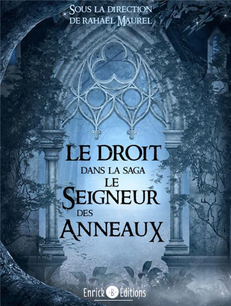 LE DROIT DANS LA SAGA LE SEIGNEUR DES ANNEAUX - MAUREL RAPHAEL - ENRICK