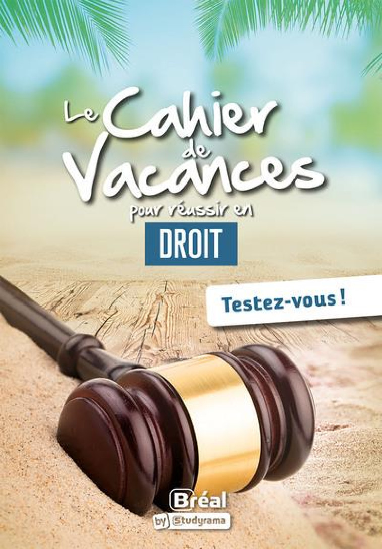 LE CAHIER DE VACANCES POUR REUSSIR SA PREMIERE ANNEE DE DROIT - PIETTE/PATAILLOT - BREAL