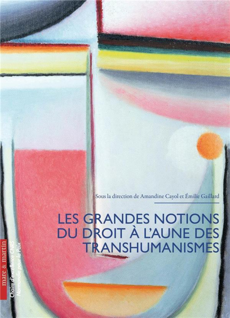 LES GRANDES NOTIONS DU DROIT A L'AUNE DES TRANSHUMANISMES - GAILLARD/CAYOL - MARE MARTIN